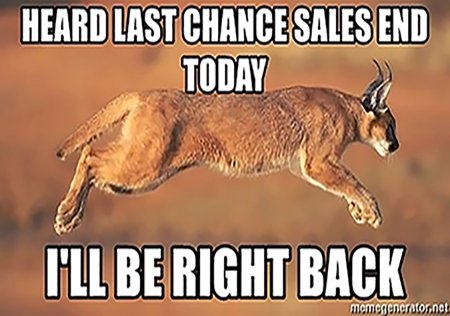 Edukit Meme - Be Right Back Cat Last Chance