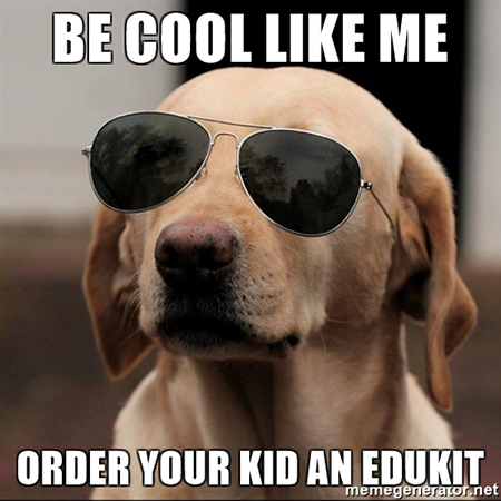 Edukit Meme - Cool Pup