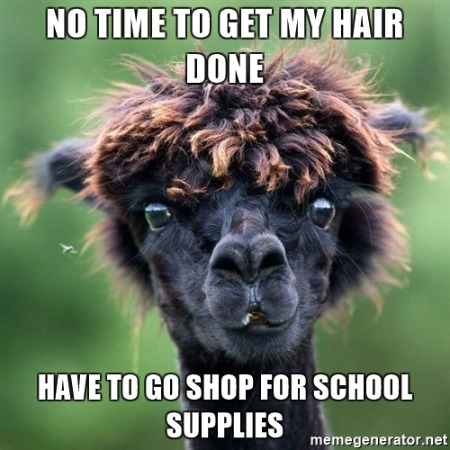 Edukit Meme - Llama Mama