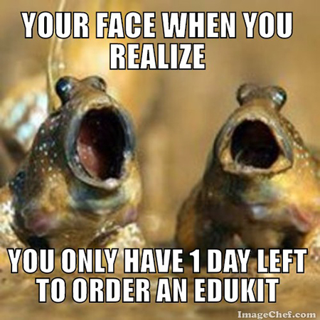 Edukit Meme - Your Face